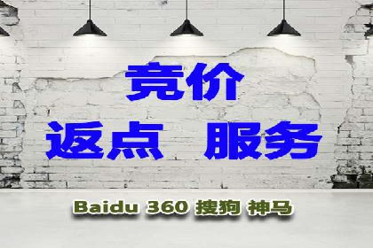 行业案例研究：SEM竞价托管的策略与挑战